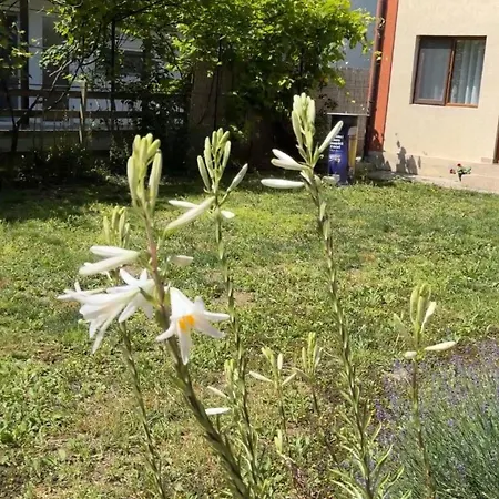 Andrastef 3* Vama Veche